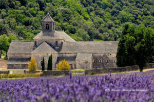 Abbaye de Sénanque - Camping la Vallée Heureuse