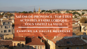 Salon-De-Provence : top 5 des activités à faire lorsque vous visitez la ville